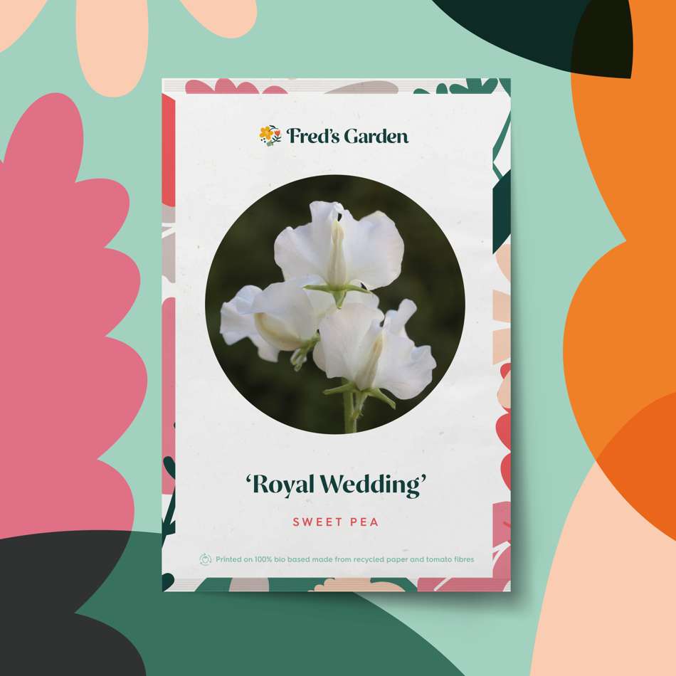 Luktärt 'Royal Wedding' (frö)